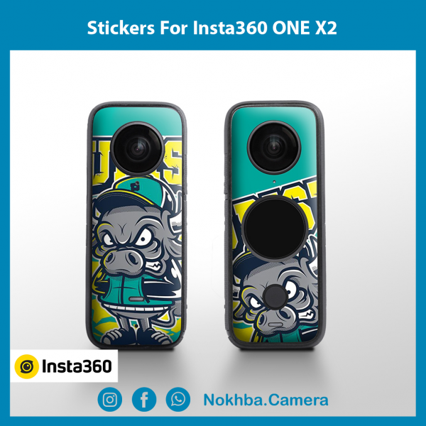 Stickers For Insta360 ONE X2